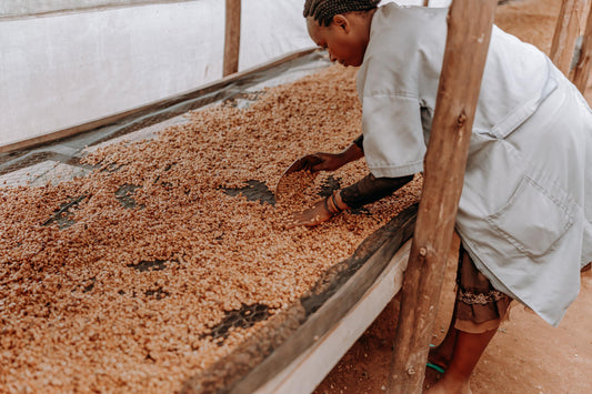 Honey Kaffee: Honey Processing