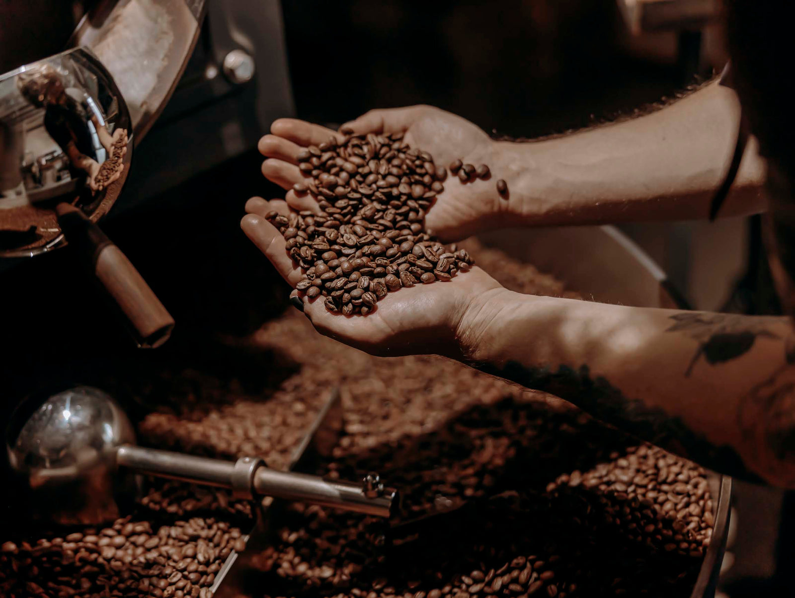 Frisch geröstete Kaffeebohnen